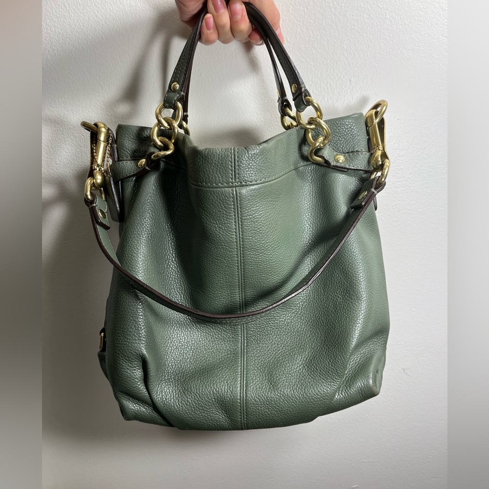 Coach Brooke Hobo Bag